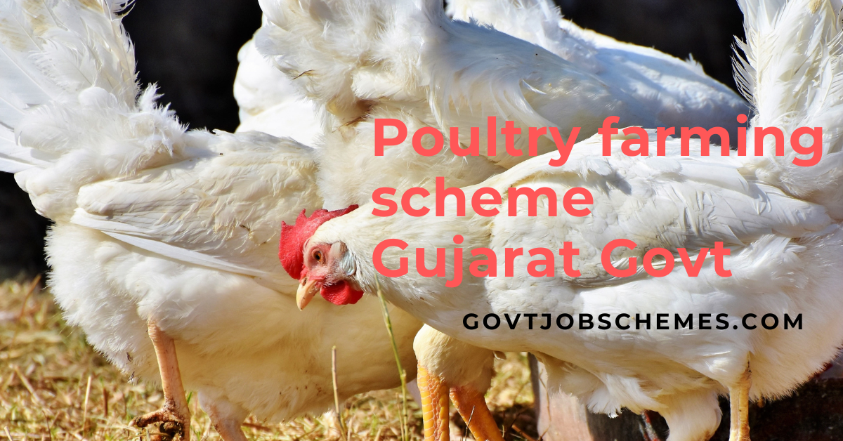 Stipend Scheme for Poultry Farming Training